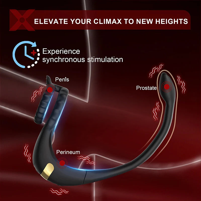 PM2: Prostate Massager 3-in-1 Dual-Motor Ring with App/Remote Control