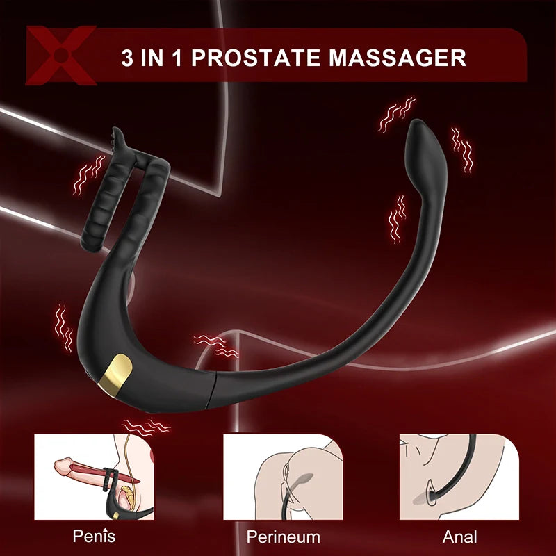 PM2: Prostate Massager 3-in-1 Dual-Motor Ring with App/Remote Control